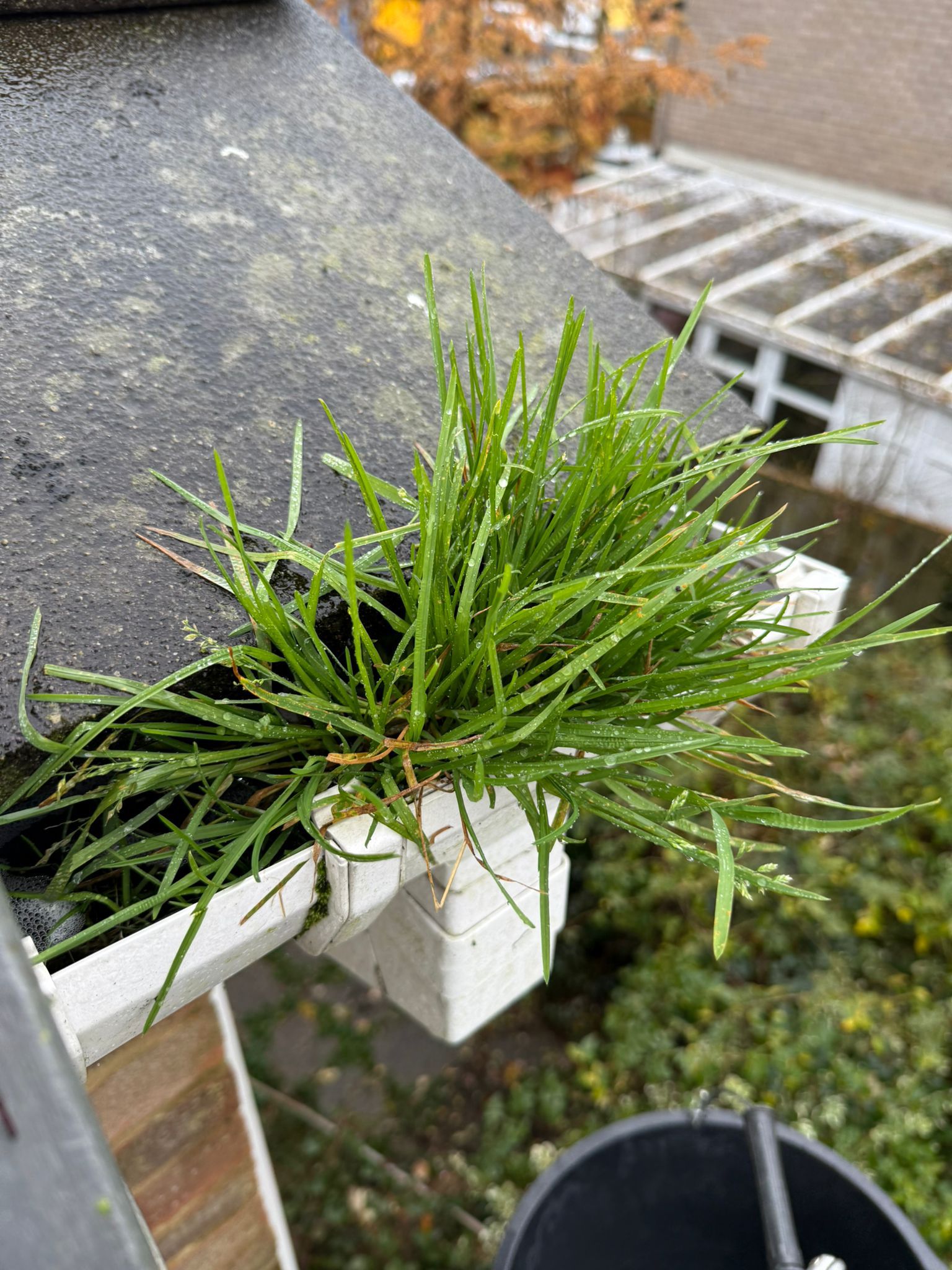 Blocked gutter downpipe in Woodley
